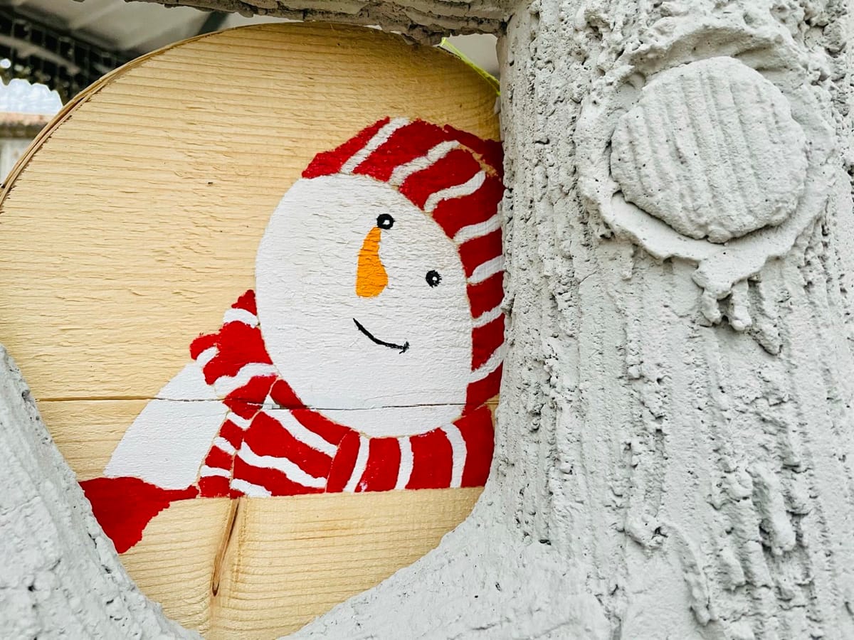 Revue de presse du mois de décembre 2020