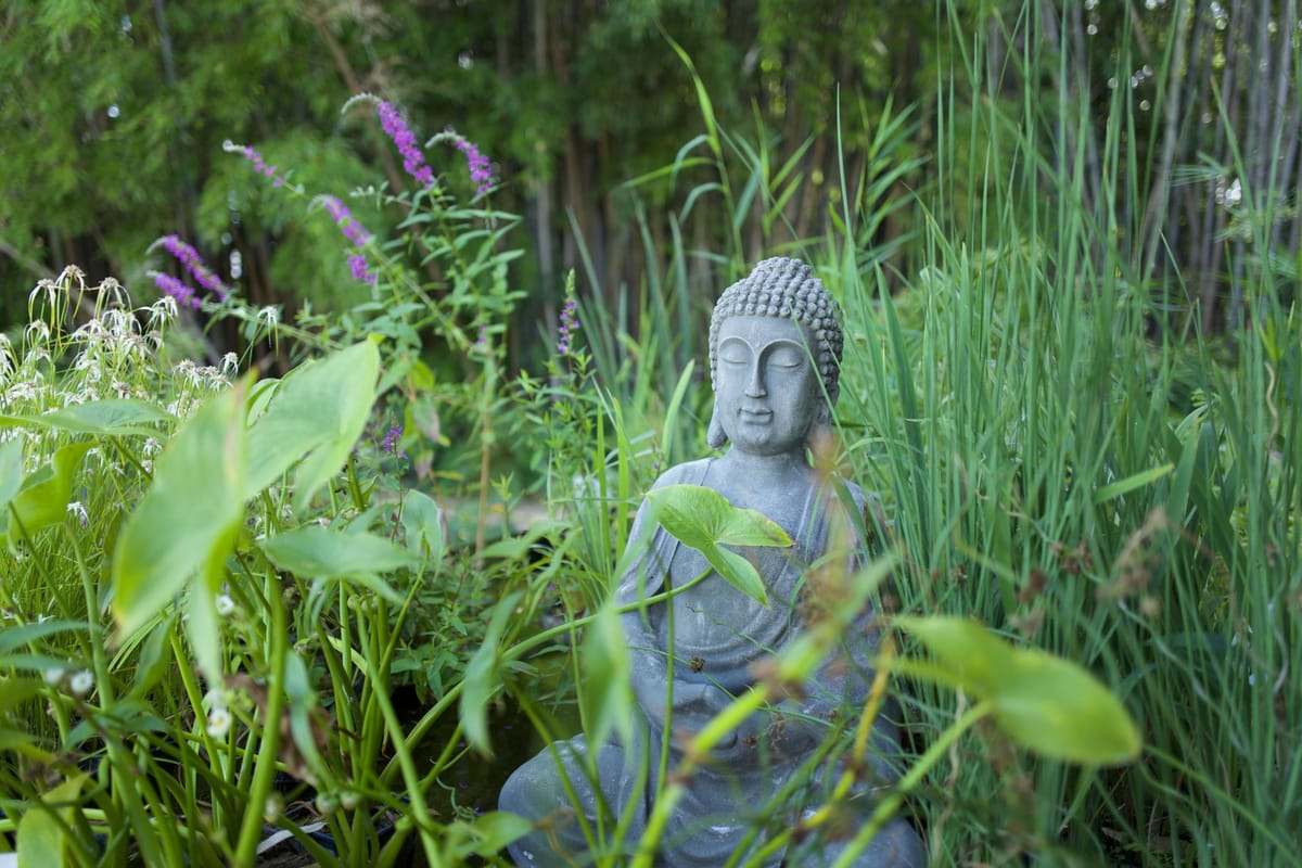 Revue de presse du mois de mai 2020