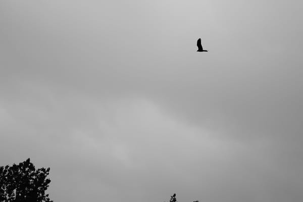 Revue de presse du mois d'Avril 2021