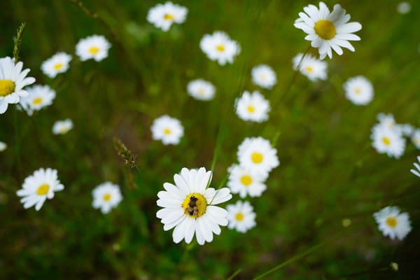 Revue de presse du mois de mai 2021