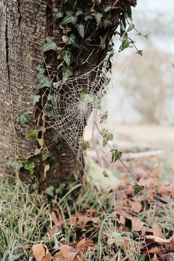 Revue de presse du mois de Janvier 2022