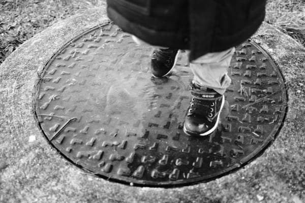 Revue de presse du mois de Février 2022