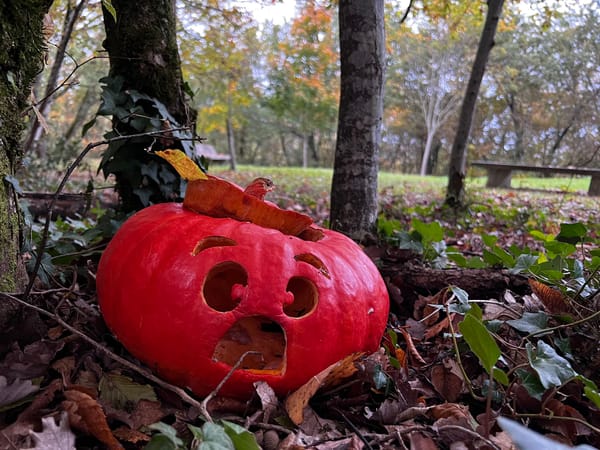 Revue de presse d'Octobre et Novembre 2021