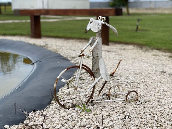 Revue de presse du mois de Septembre 2021