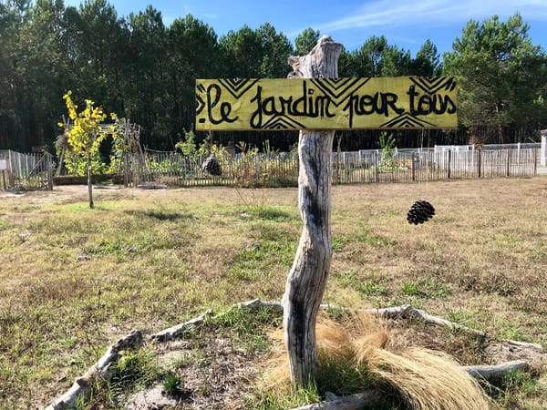 Revue de presse du mois de août 2020