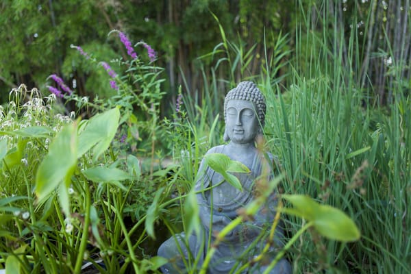 Revue de presse du mois de mai 2020